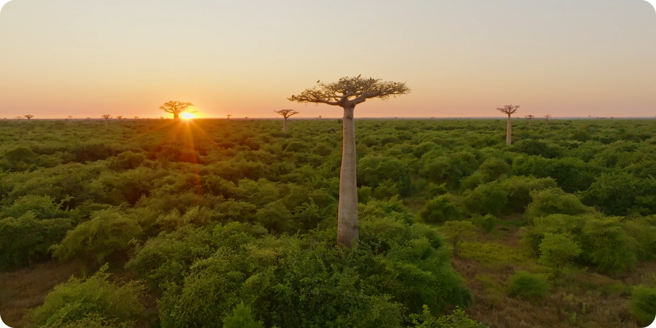 desktop image section