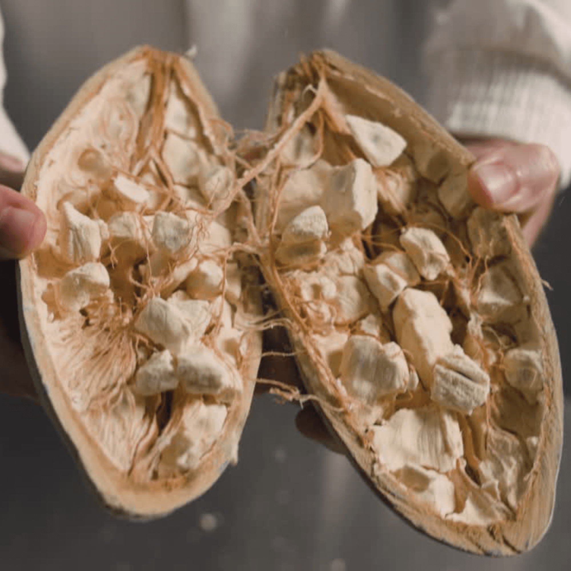 Baobab Fruit