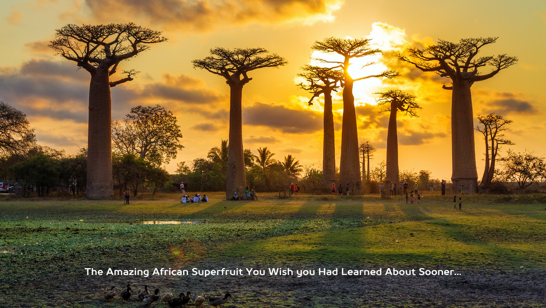 8 Amazing Benefits of the Baobab Fruit