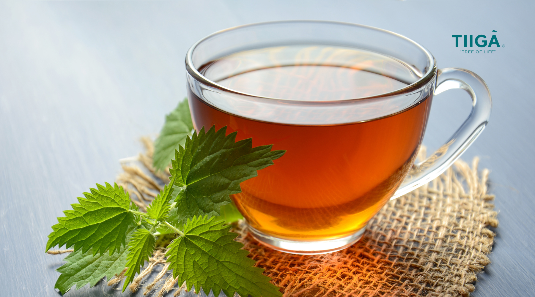 Electrolyte Tiiga Tea Infusion