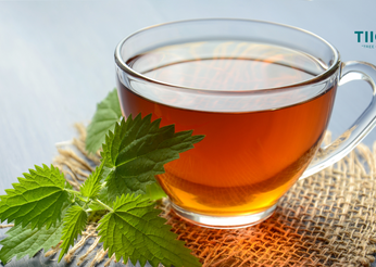 Electrolyte Tiiga Tea Infusion
