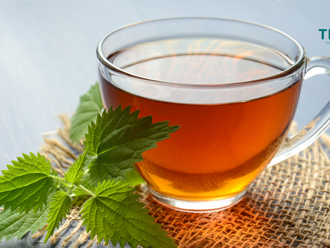 Electrolyte Tiiga Tea Infusion